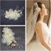 Voile de mariage mariée fée riz perle en soie fleur coiffe mariée diadème mariage robe accessoires