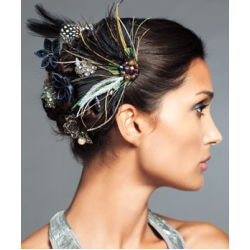 Accessoires pour cheveux